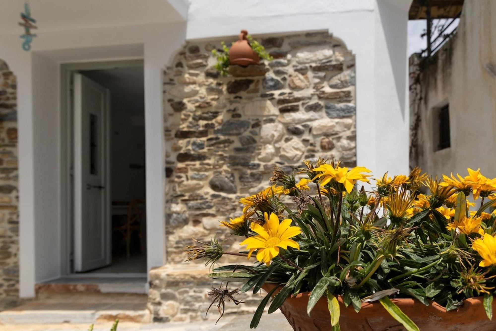 My Grandma'S Home Naxos Dhamarionas Exterior foto
